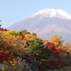 紅葉と富士山