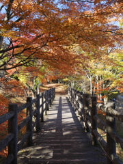 山中湖　紅葉祭り