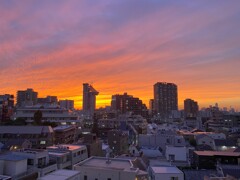 本郷夕ぐれ