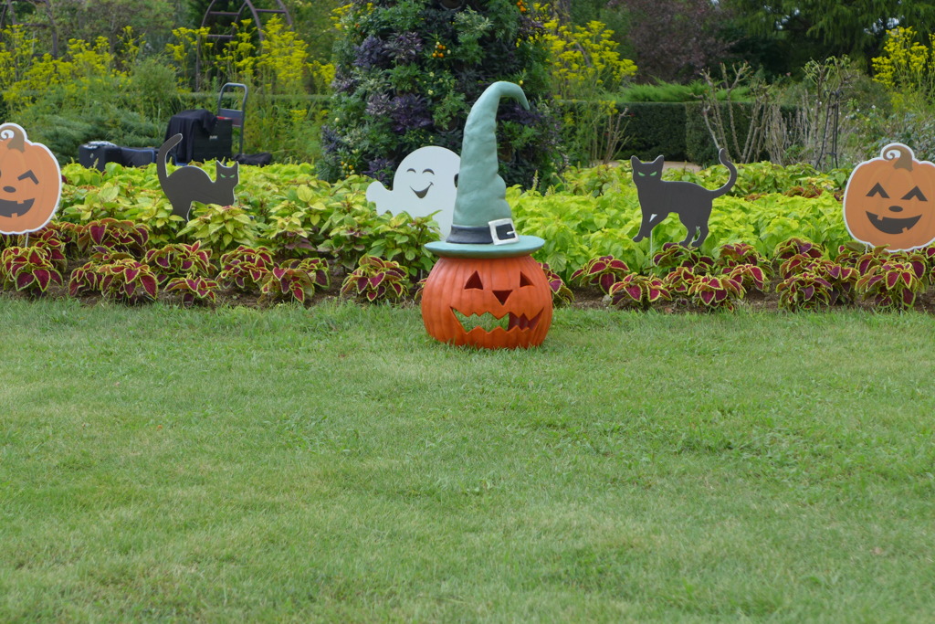 ハロウィーン