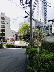 渋谷山東福寺前付近にて