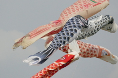 大空を泳ぐ
