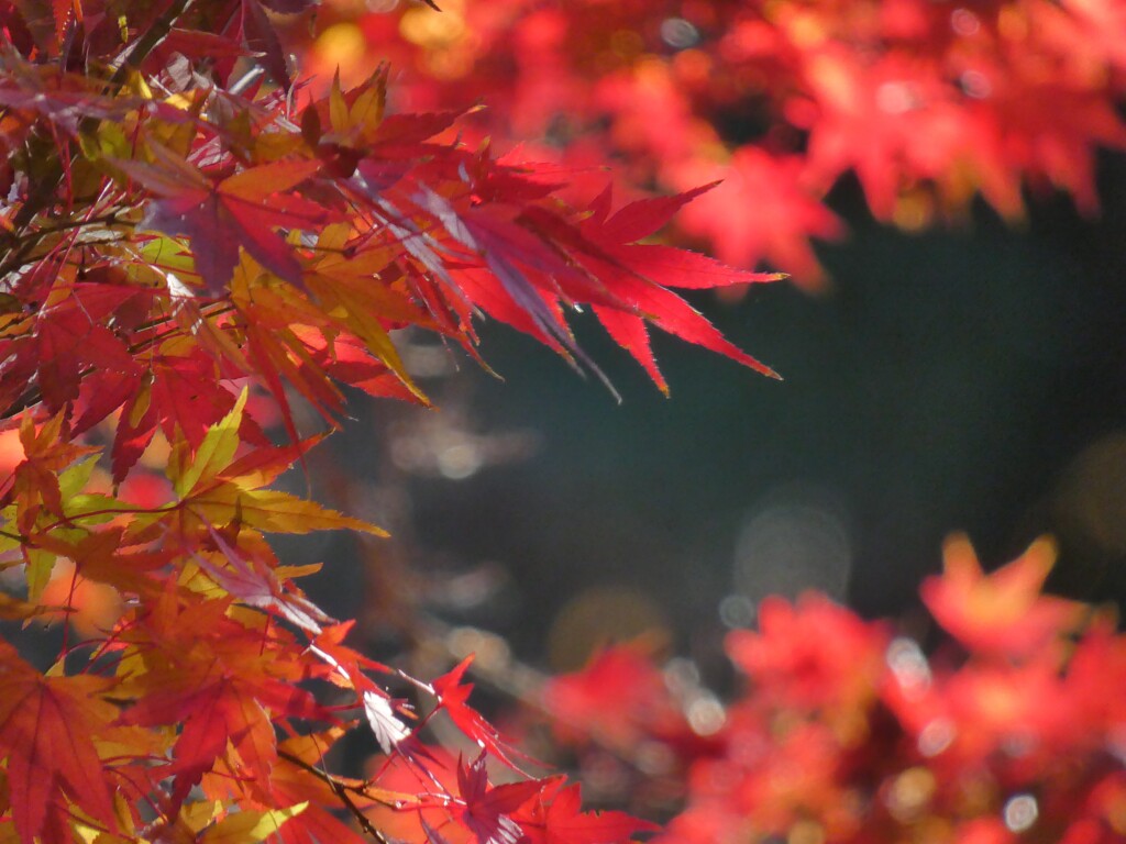 まぶしいほどの