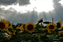 すっと明けた雲の隙間から
