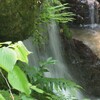 涼を探しに