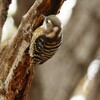 引越の季節　新居さがし