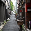 谷町の路地裏通、、、
