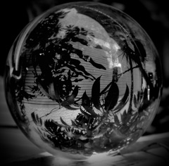 mono