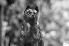 我が家の忠犬ハチ公