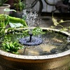 めだかの水槽