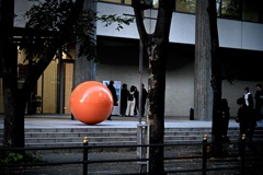 orennjinotamagaochitekita