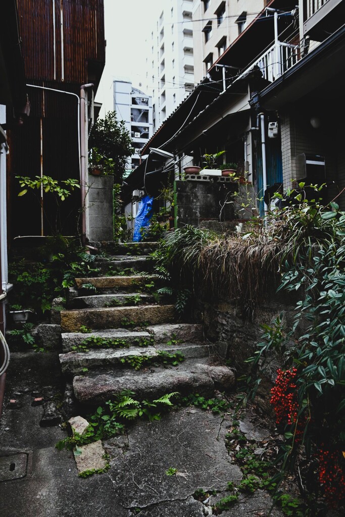 路地裏の石段