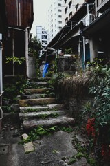 路地裏の石段