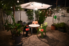 夜のマイガーデン