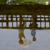 もうひとつの世界