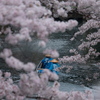 水都の春
