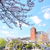 春日和