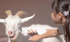 お嬢ちゃん、ナデナデ上手だね～