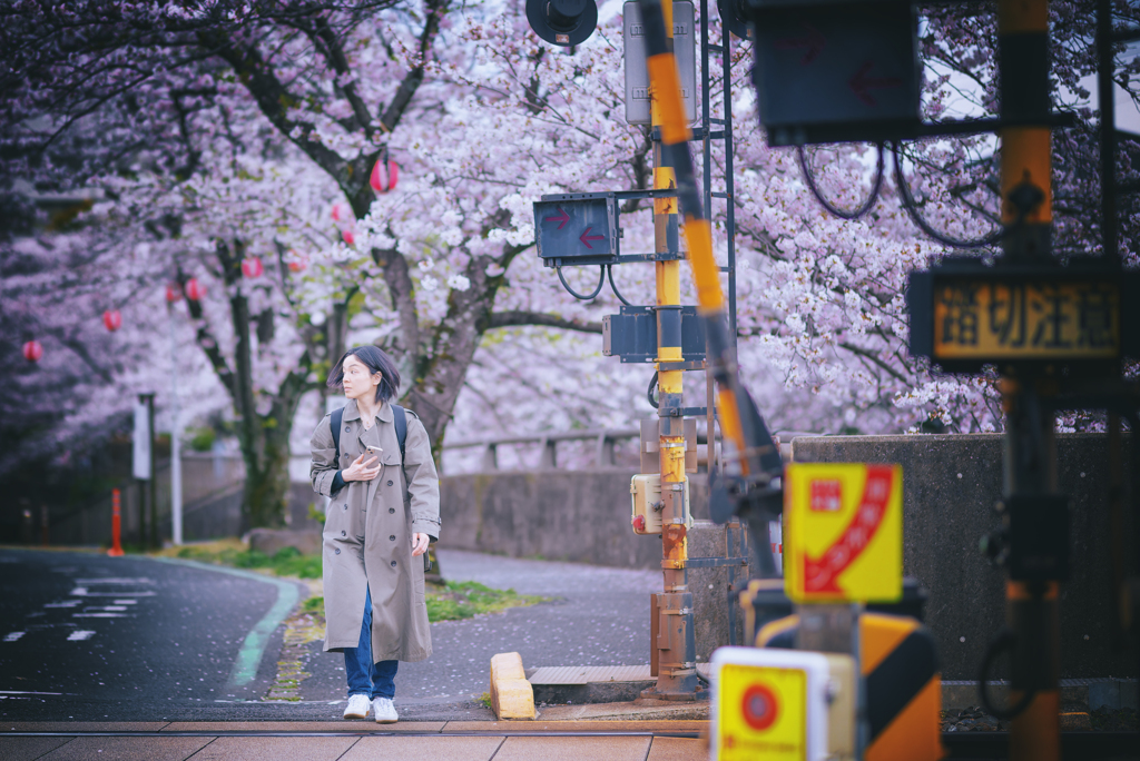 思い返すさくら色