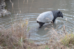 キミの所へいくよ