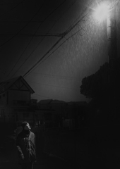 見上げた夜
