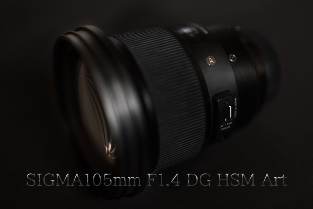 BOKEH-MASTER
