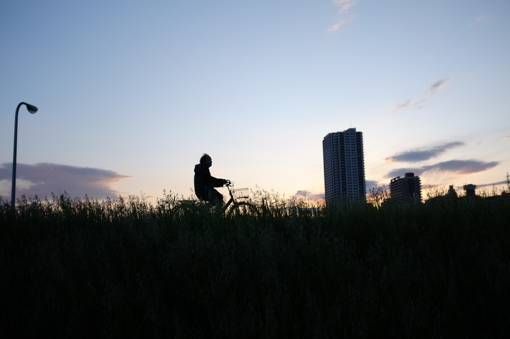 夕日と影