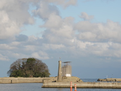 唐島（スタンダード）