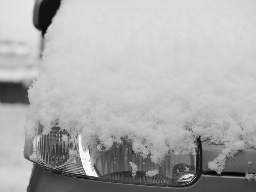 L.モノクローム