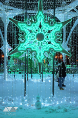 「雪」の下に佇む「雪」