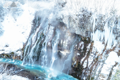 青さは冬を貫く