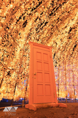 光に包まれるドア