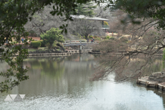 何がいるかな？