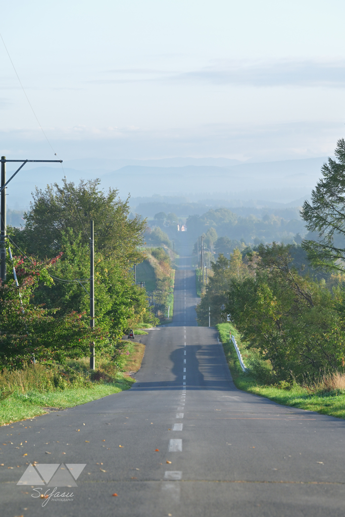 朝靄の先へ続く道
