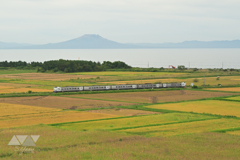 色付く田園を走る特急列車
