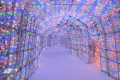 雪と光に包まれた道