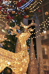 輝き増すトナカイ