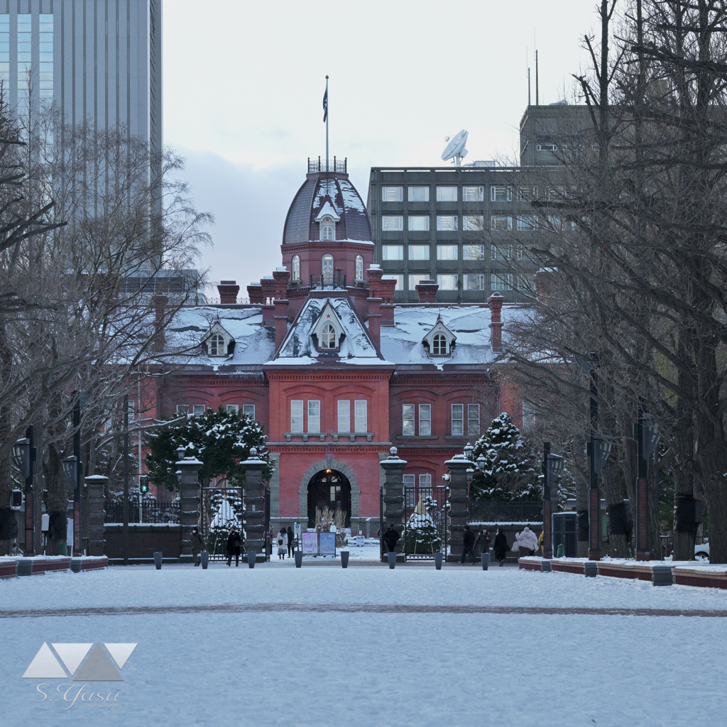 雪に飾られた赤れんが庁舎