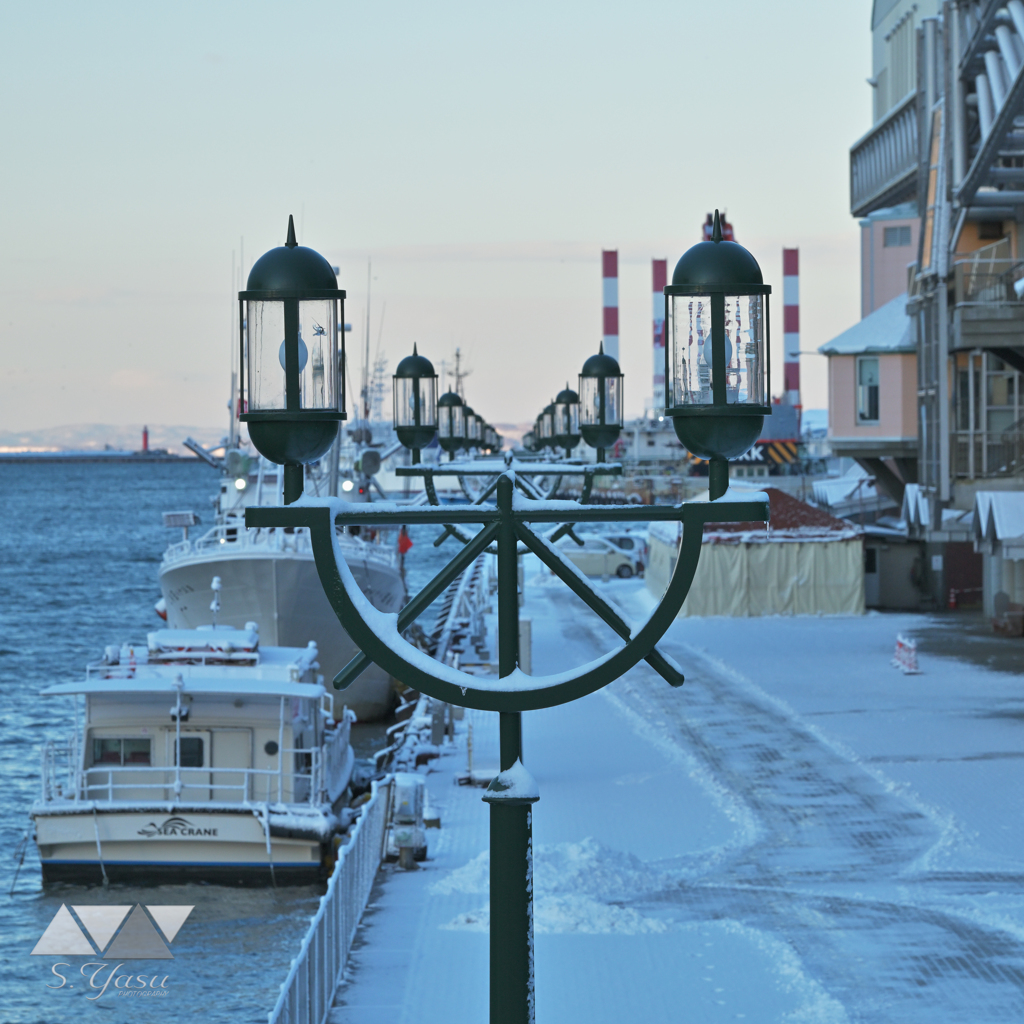 仕事終わりの街灯たち