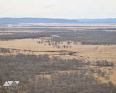 雪降る直前の湿原