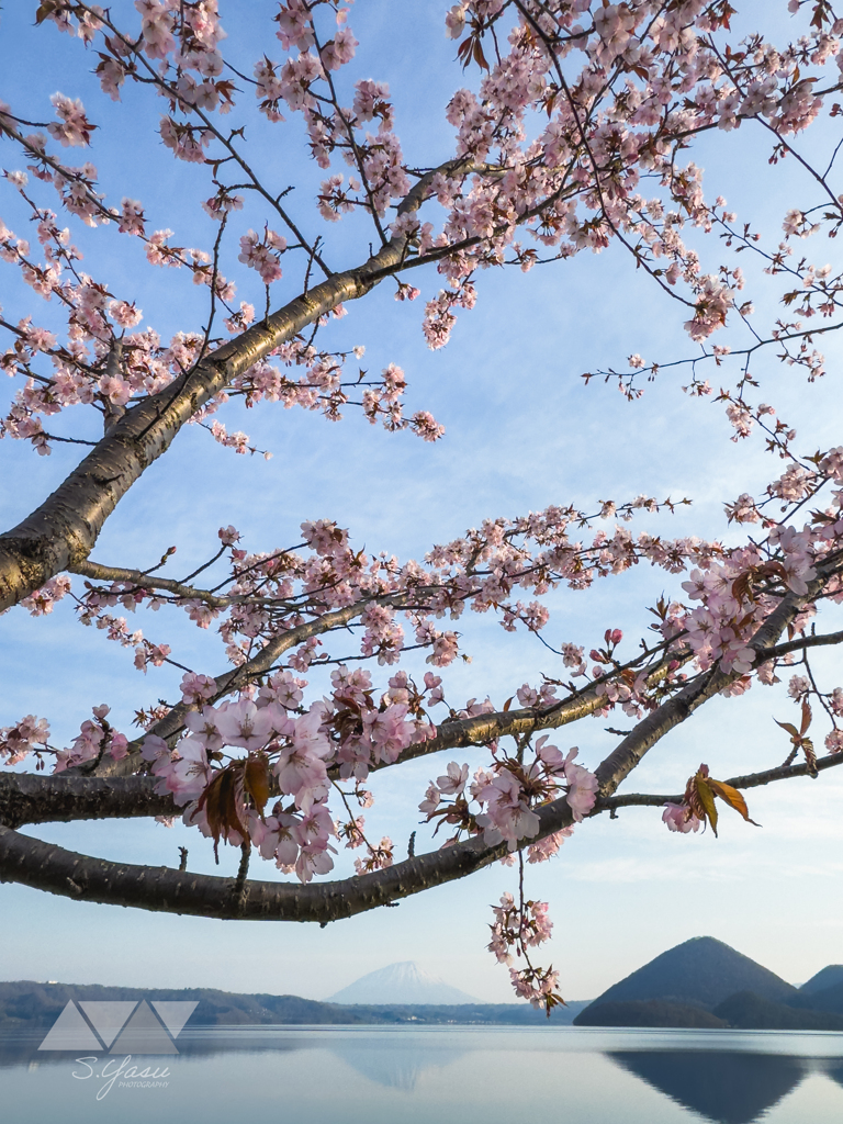 山湖より華やかに