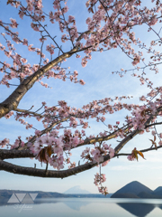 山湖より華やかに