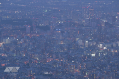札幌薄暮夜景