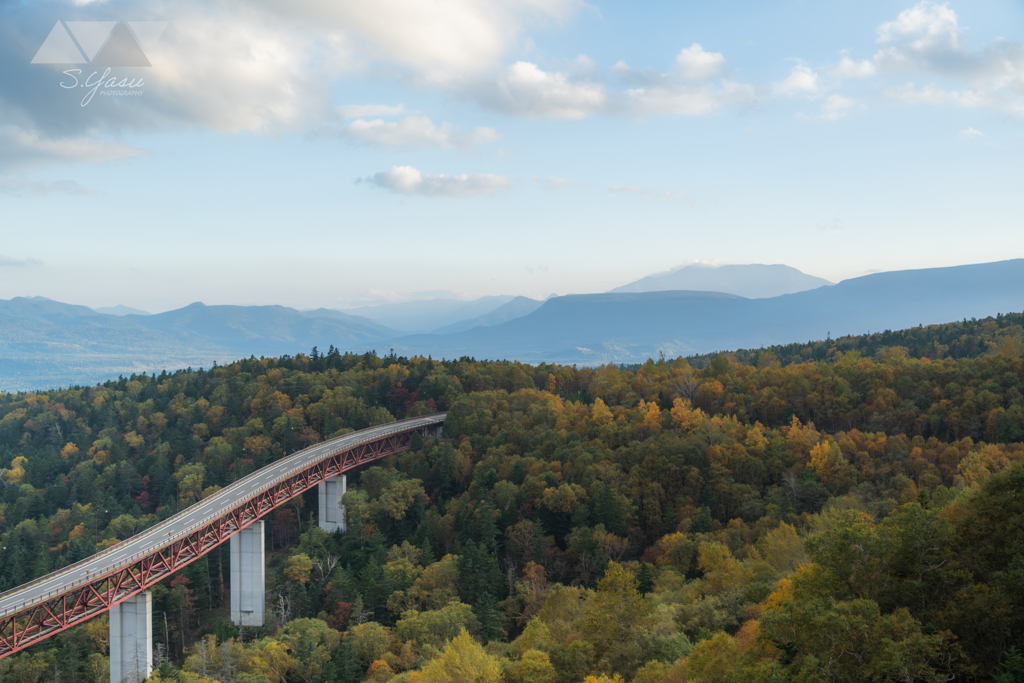 色濃くなってきた山々