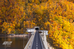 紅葉の山を貫く道
