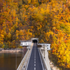 紅葉の山を貫く道