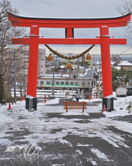 鳥居の中を走るローカル列車