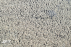 それぞれの「孤独」