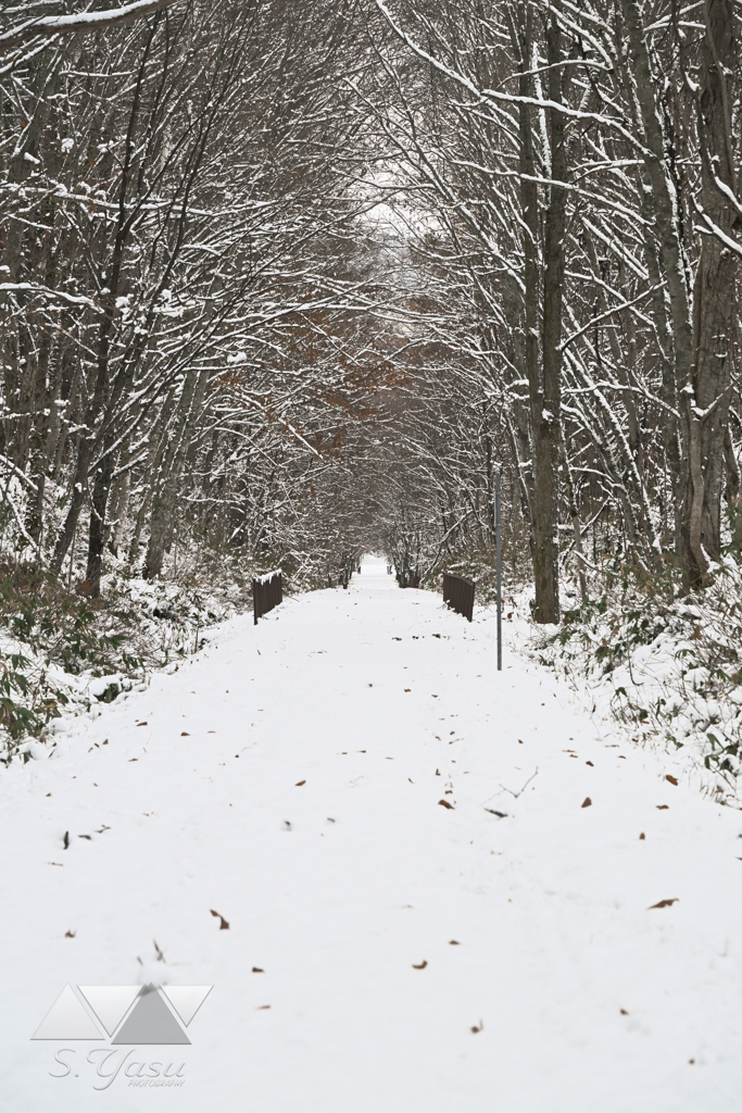 廃線跡・40回目の冬