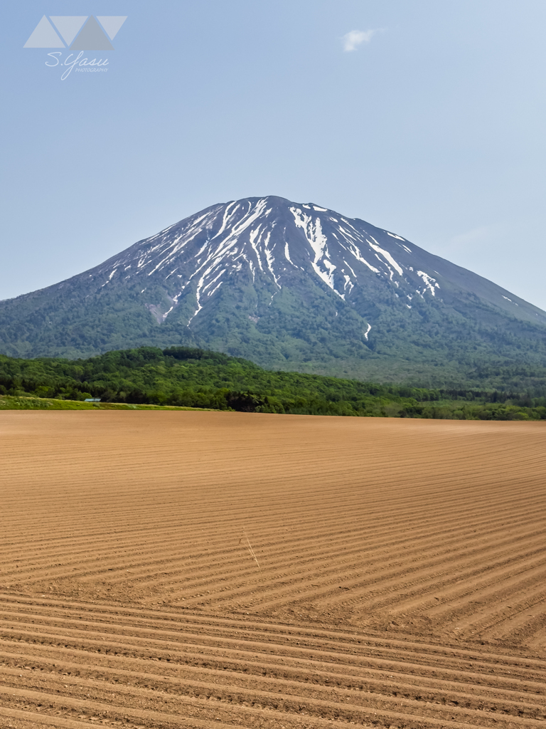 衣替えする羊蹄山